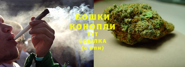 дживик Корсаков