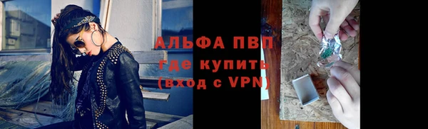 дживик Корсаков