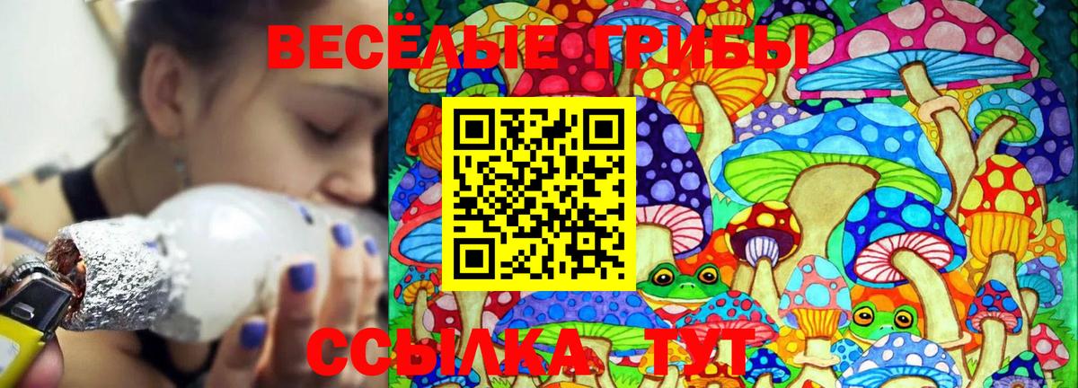 Новосибирск  Псилоцибиновые грибы прущие грибы  Вход с VPN 